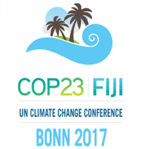 COP 23