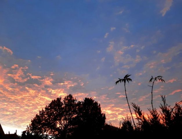 lumieres du matin